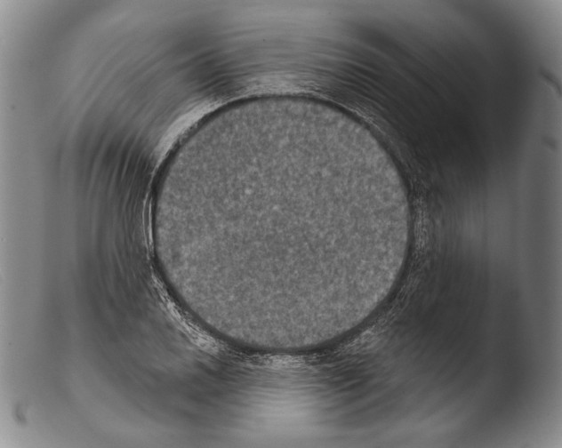 X0000103951030200810311544