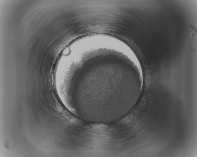 X0000103951031200810311544