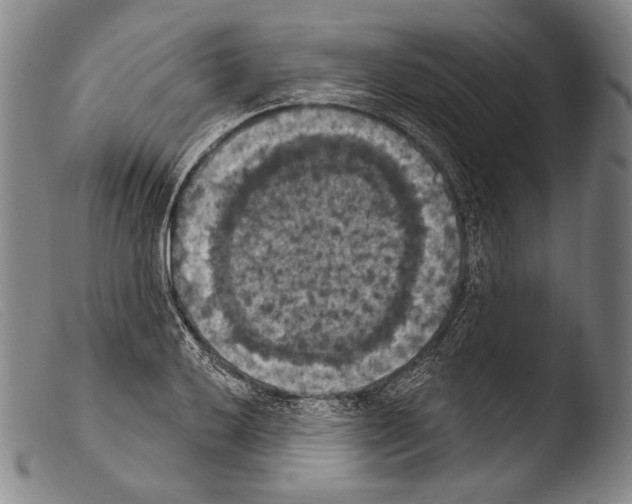 X0000103951032200810311544