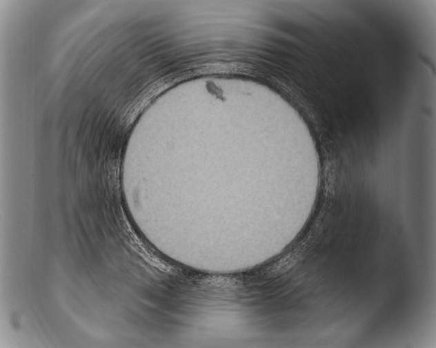 X0000103951033200810311544