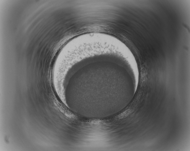 X0000103951035200810311544