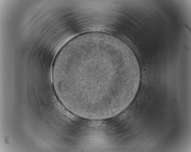 X0000103951036200810311544