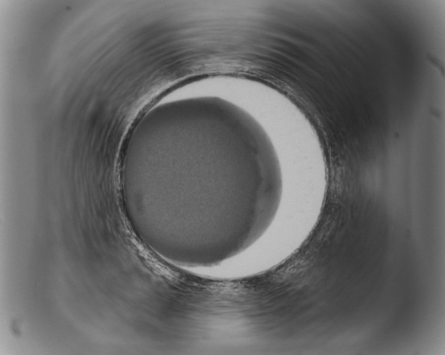 X0000103951037200810311544
