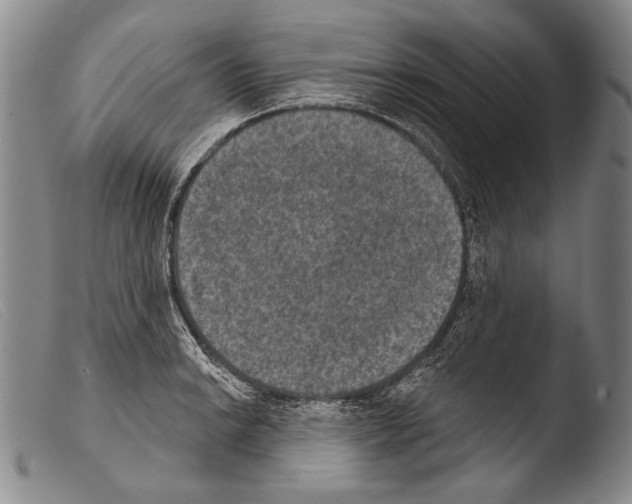 X0000103951038200810311544