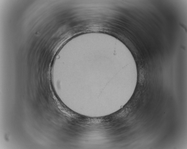 X0000103951039200810311544
