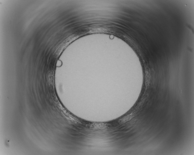 X0000103951041200810311544