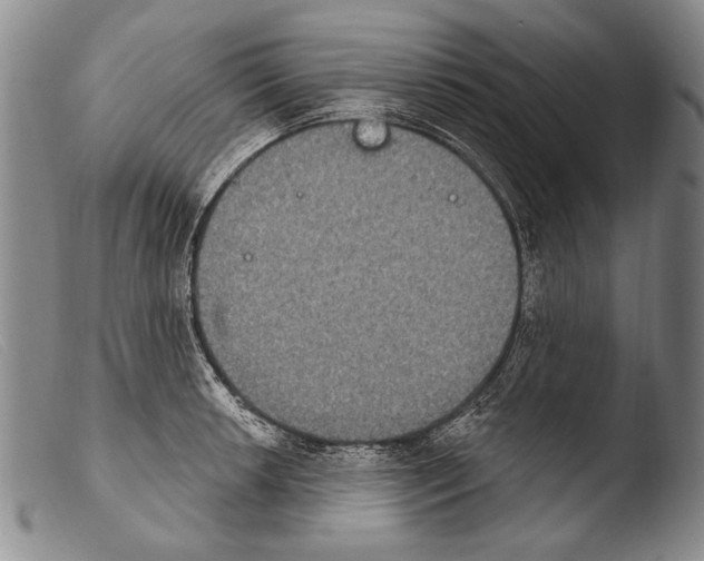 X0000103951042200810311544