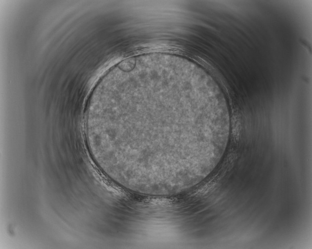 X0000103951043200810311544