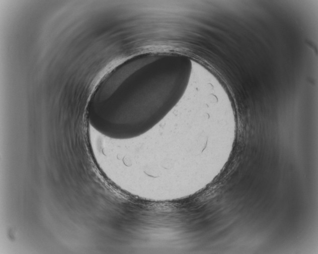 X0000103951045200810311544