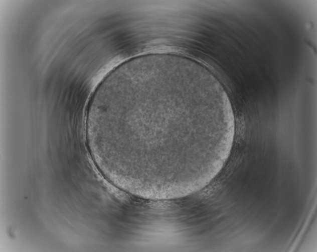 X0000103951046200810311544