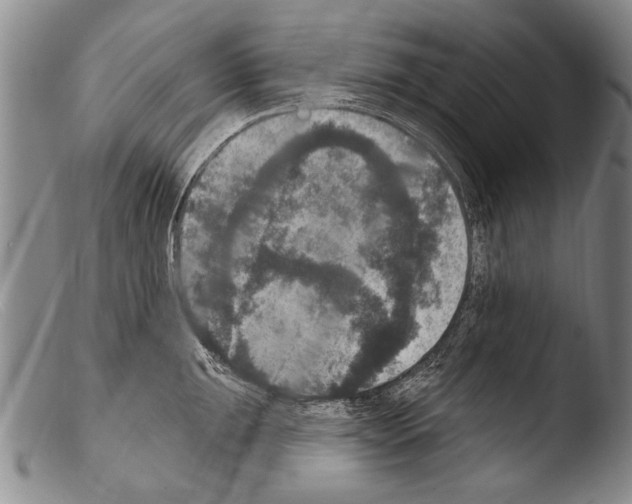 X0000103951047200810311544
