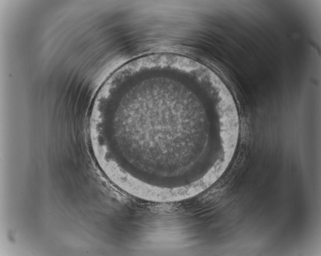 X0000103951048200810311544
