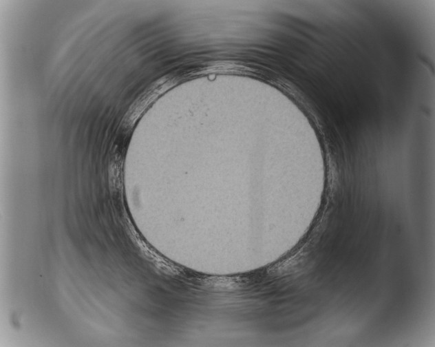 X0000103951049200810311544