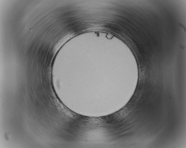 X0000103951050200810311544