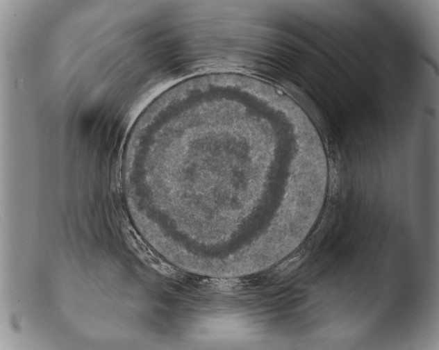 X0000103951052200810311544