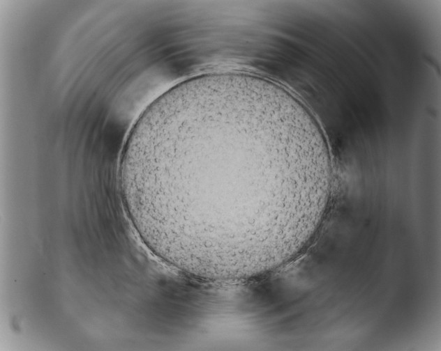 X0000103951053200810311544