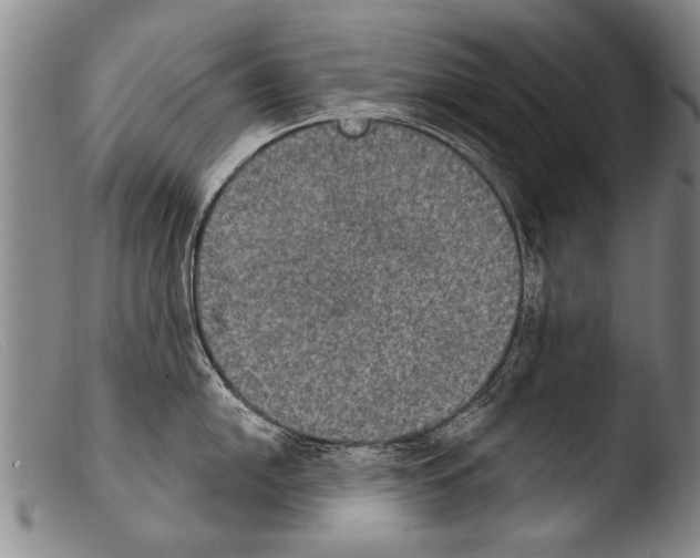 X0000103951054200810311544