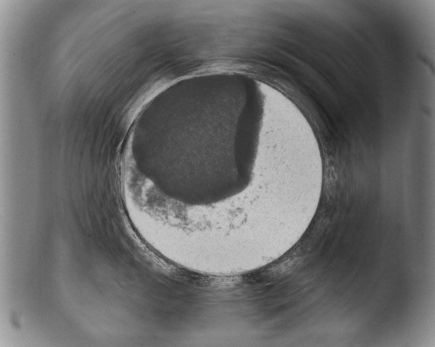 X0000103951055200810311544