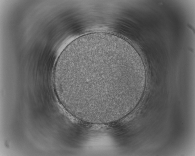 X0000103951056200810311544
