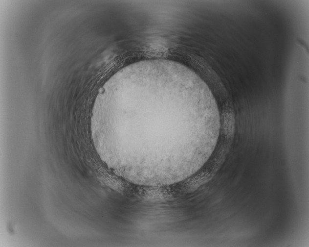X0000103951057200810311544