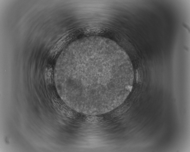 X0000103951059200810311544