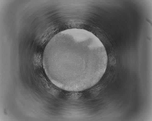 X0000103951060200810311544