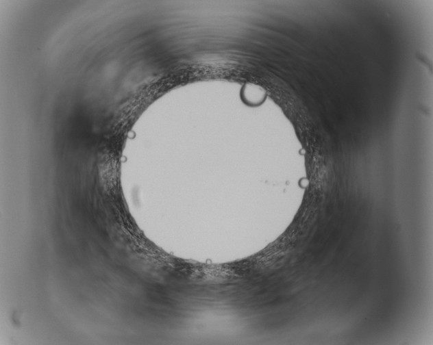 X0000103951061200810311544