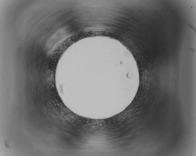 X0000103951062200810311543