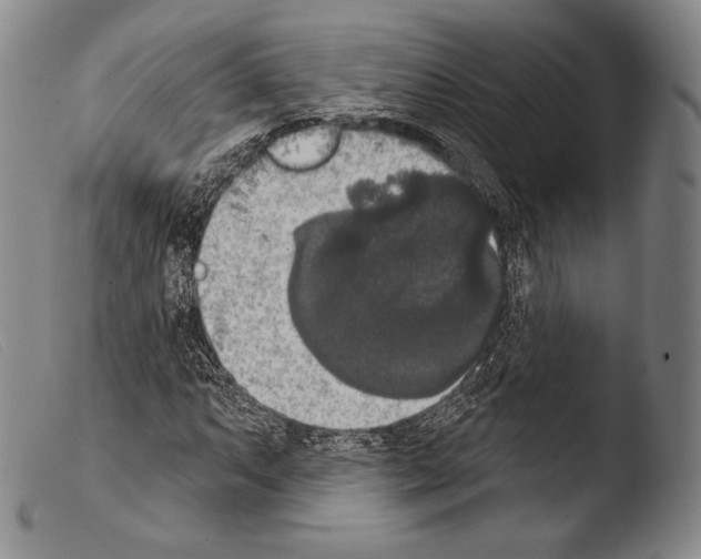 X0000103951063200810311543