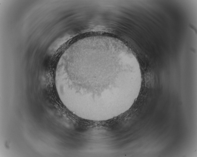 X0000103951064200810311543