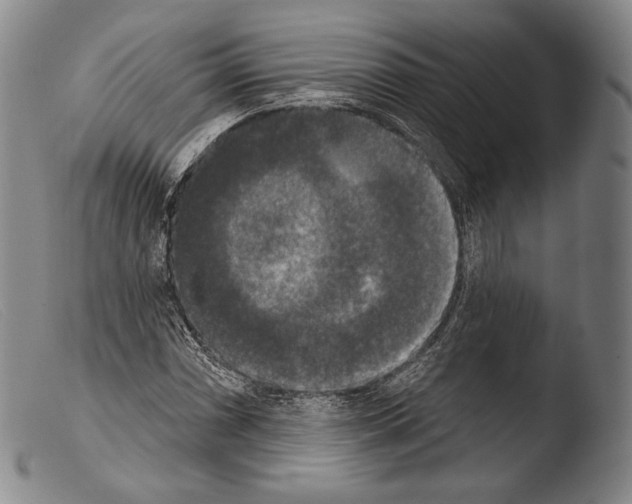 X0000103951066200810311543