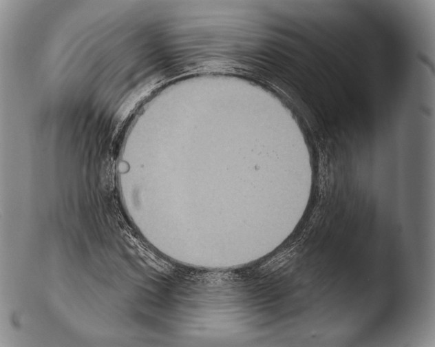 X0000103951067200810311543