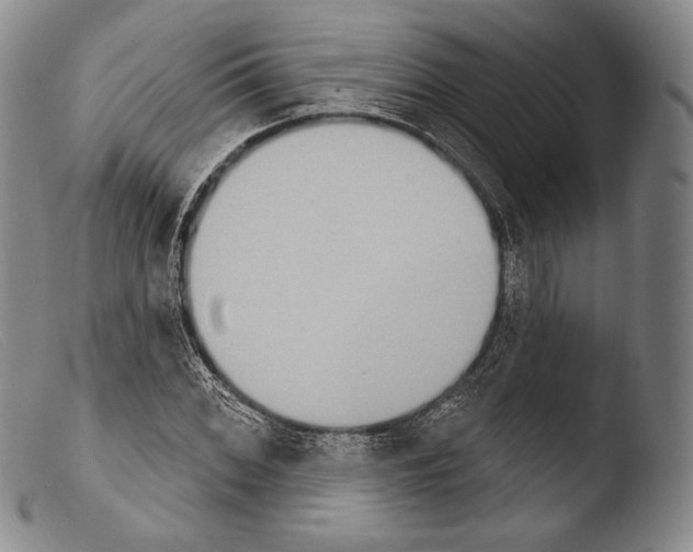 X0000103951068200810311543