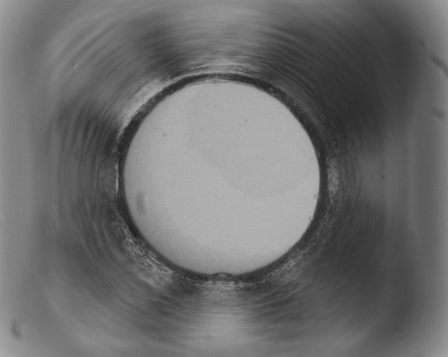 X0000103951069200810311543
