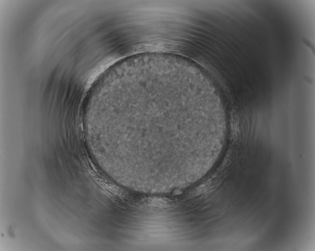 X0000103951070200810311543