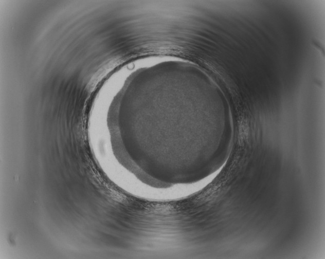 X0000103951071200810311543