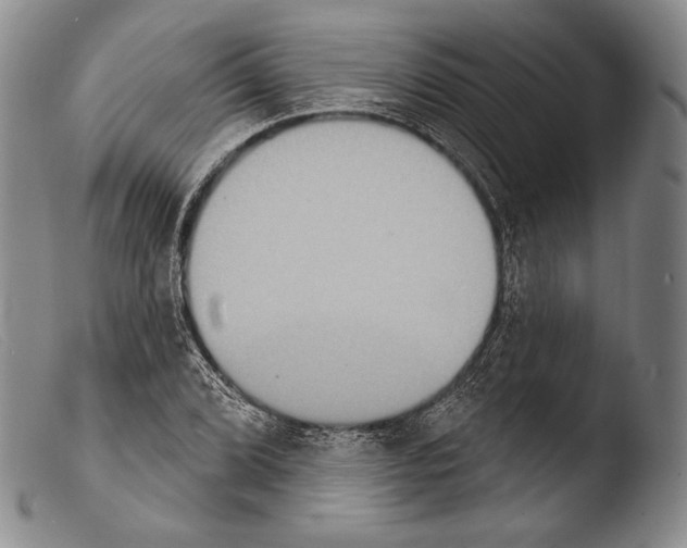 X0000103951072200810311543