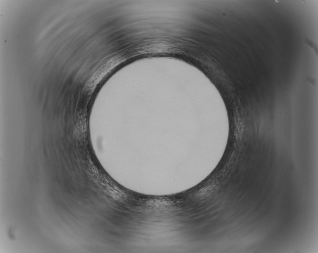 X0000103951073200810311543