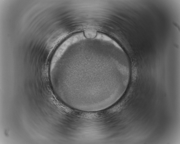 X0000103951074200810311543