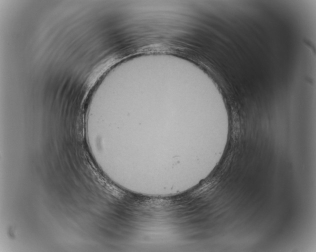 X0000103951075200810311543