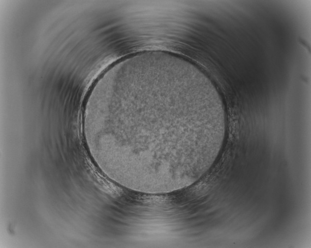 X0000103951076200810311543