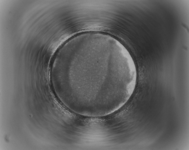 X0000103951077200810311543
