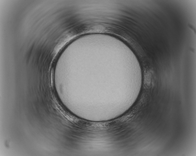 X0000103951078200810311543