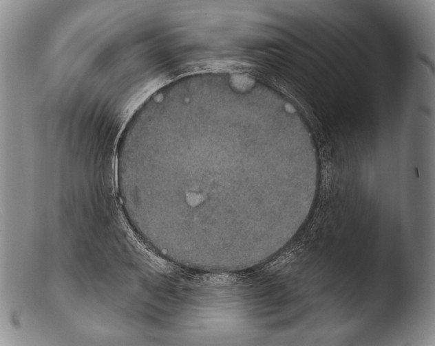 X0000103951079200810311543