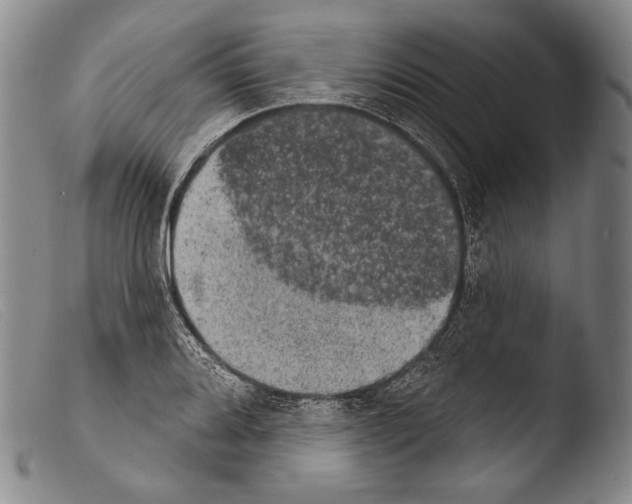 X0000103951080200810311543