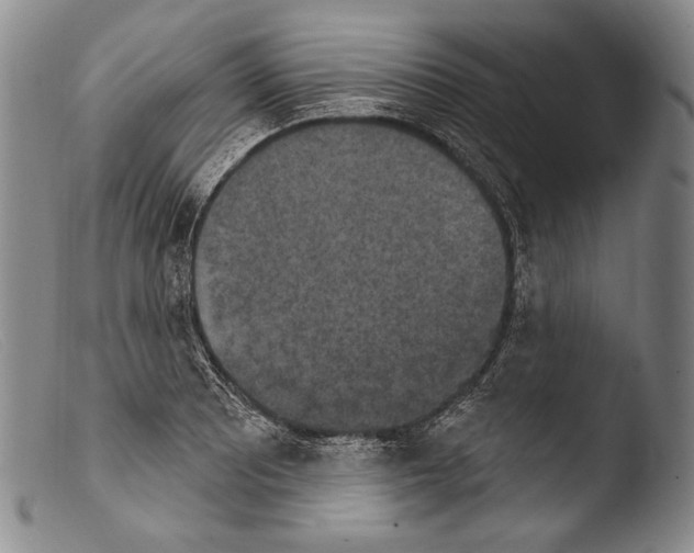X0000103951081200810311543
