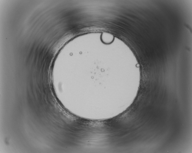 X0000103951082200810311543