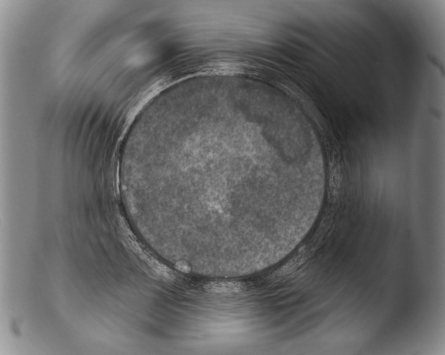 X0000103951083200810311543