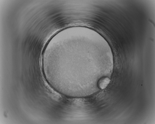 X0000103951084200810311543