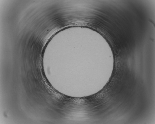 X0000103951085200810311543